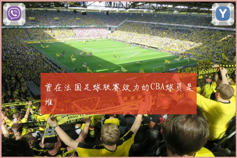 曾在法国足球联赛效力的CBA球员是谁