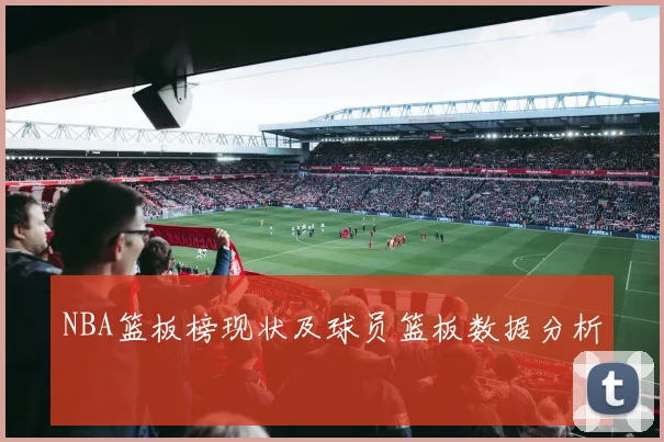 NBA篮板榜现状及球员篮板数据分析