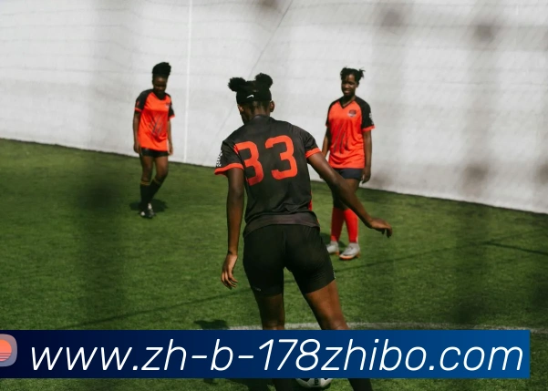 178体育直播品牌故事